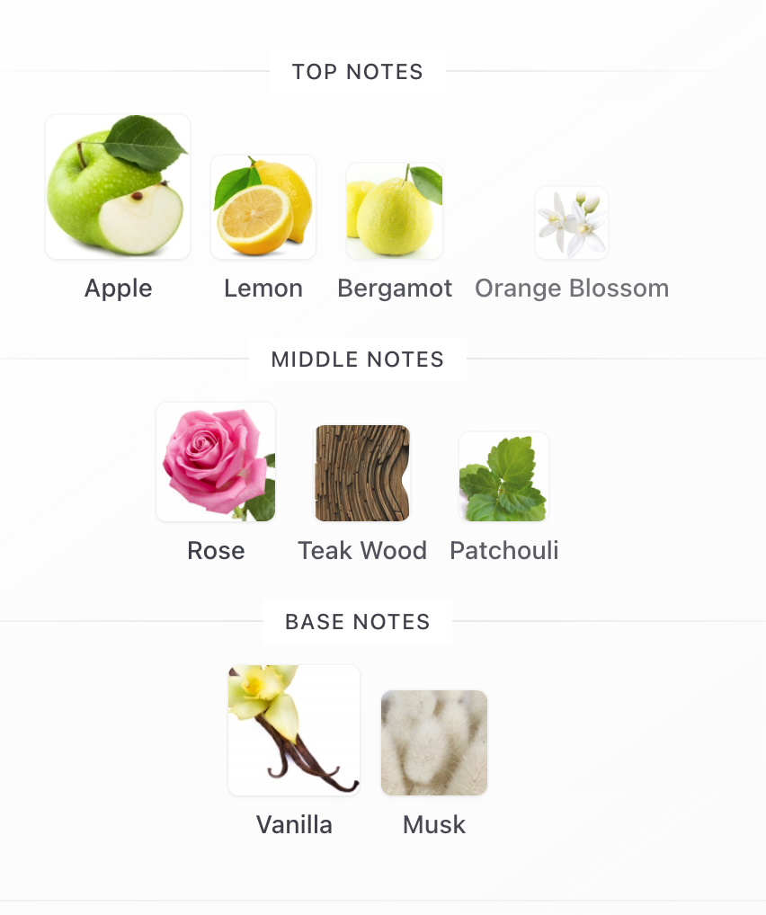 Core 45º - Image 3